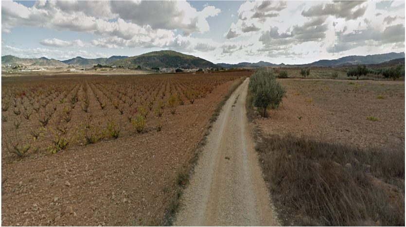 10,000 sqm for 25,000 euros